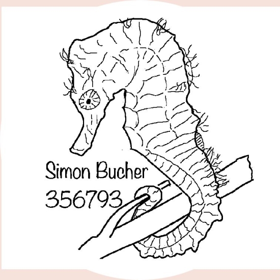 Tampons d''adresse sans cadre