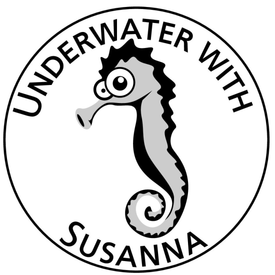 Attirez l''attention de tous !